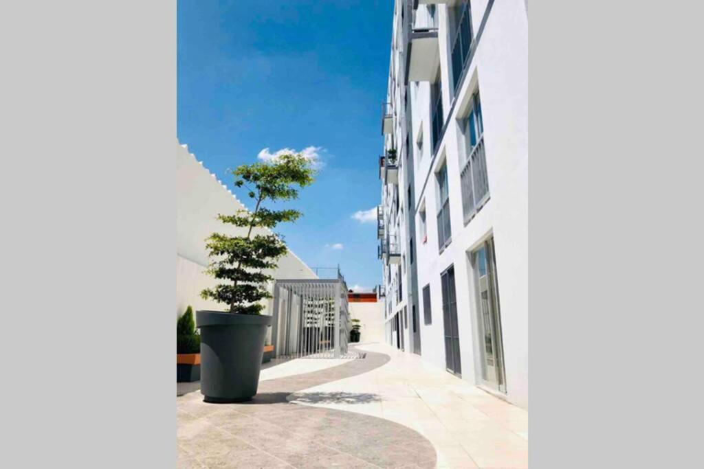 Departamento *Mundo Viajero* Guadalajara Apartment Екстериор снимка